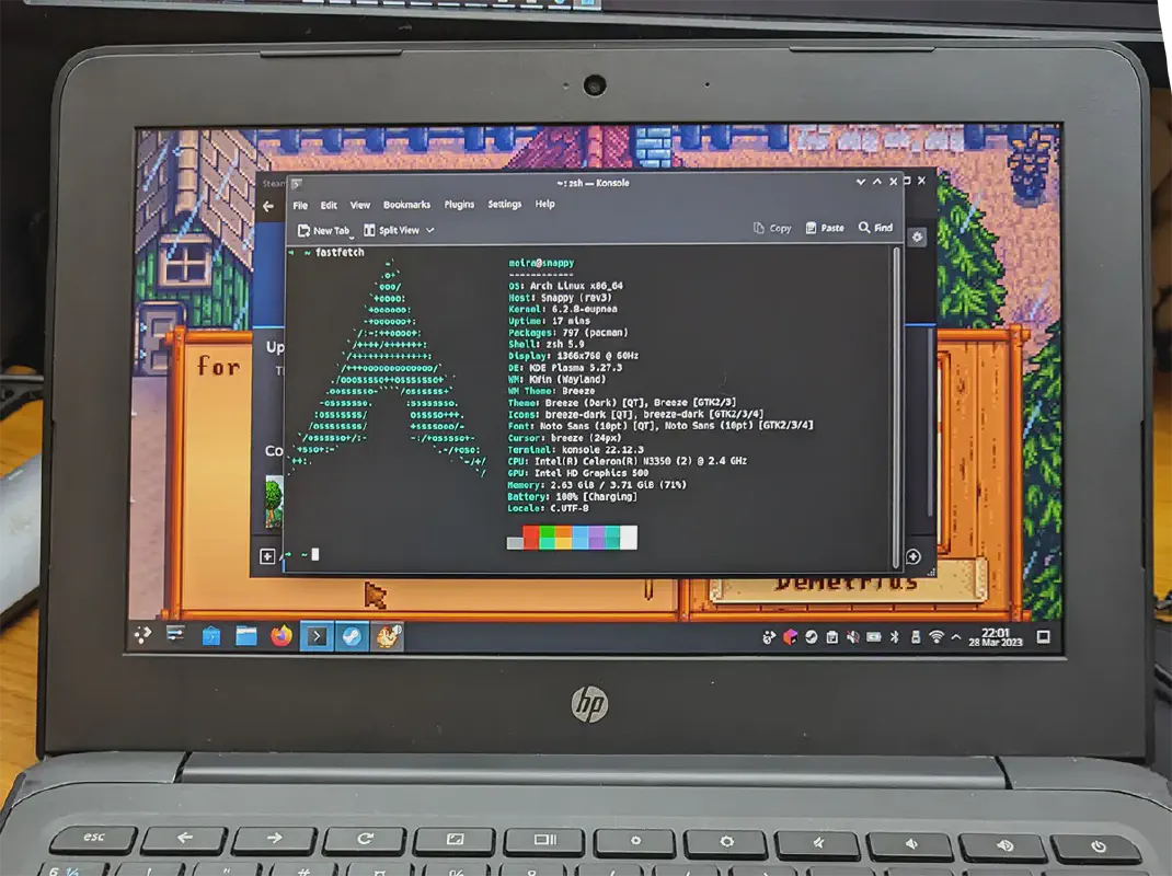 stardew vally running on eupnea linux