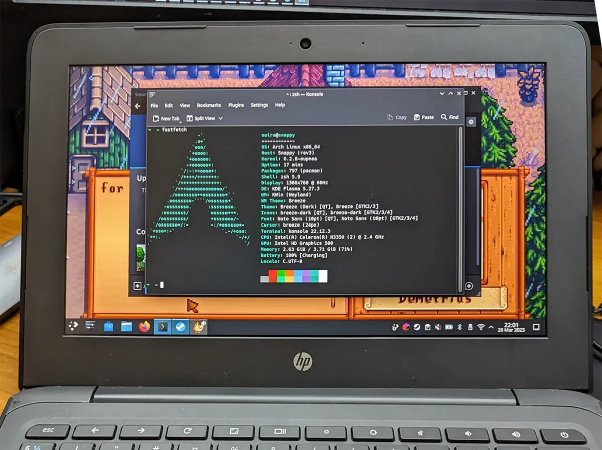 stardew vally running on eupnea linux